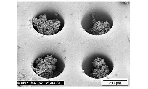 细胞培养载体 三维化培养  新兴技术让细胞培养载体成本更加低廉