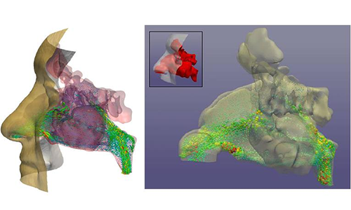 深呼吸  数字化模拟分析人类呼吸系统