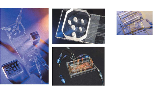 癌症研究：人工血管  微流控系统可实现癌细胞转移的体外模拟