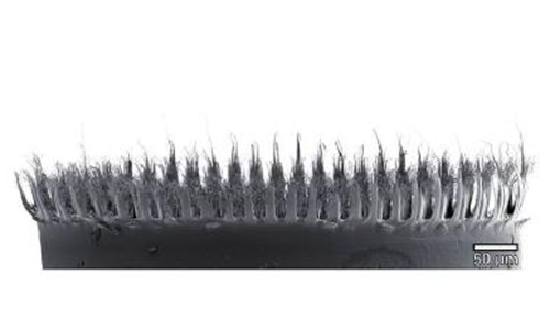 纳米技术 油水分离  纳米级塑料薄片 帮助实现油水分离